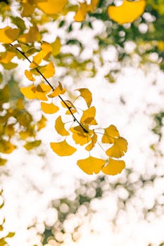 宁波银行“换帅”庄灵君将接棒董事长 总资产3.63万亿不良率连续8年低于0.8百分号