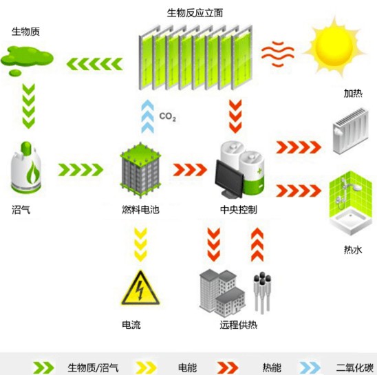 新知 绿色藻类建筑板:能发电,还可吸收二氧化碳 新闻 新知 绿色藻类建筑板:能发电,还可吸收二氧化碳 新闻