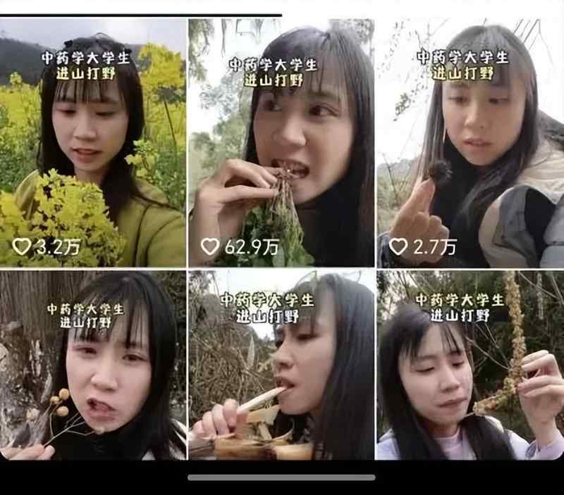  湖南中药学女大学生进山寻找草药视频走红，本人提醒：是药三分毒，切勿模仿 新闻