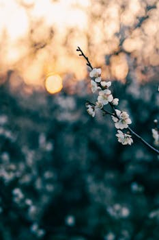 优诺中国股权易主，天图投资高位退出；IDG资本接棒，前路仍需考验。