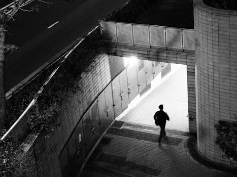 海量吞吐背后的增长逻辑：青岛港逆势增长的方法论