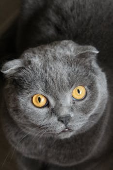 [理论观察]人工智能数字空间秩序的法律构建