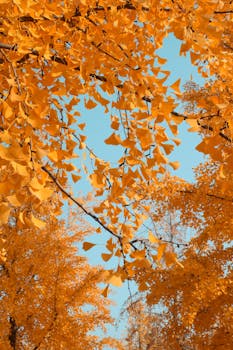 北京天宜上佳高新材料股份有限公司2025年度业绩快报公告