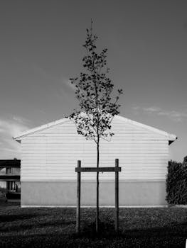 巴西金融丑闻升级；央行高官涉贿赂，马斯特银行崩盘余波未平。