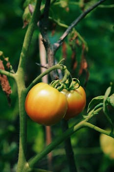 惊蛰时节，北京盛会开启；代表汇聚，蓝图徐徐展开。