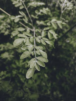 市场顺逆周期需辩证看待；宽德投资倡导理性逆行；构建稳定配置纪律。