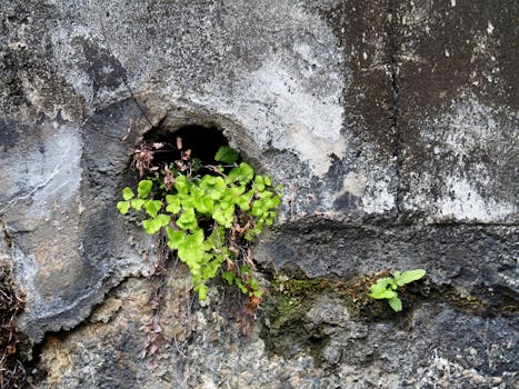 长护险全面铺开：老龄化社会下的民生新机遇