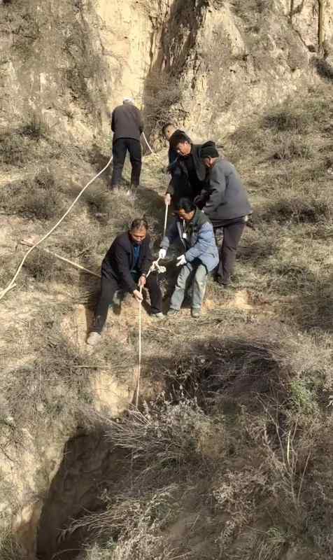 【技术解构】黄土高原牧牛事故:深坑救援为何陷入死局? 新闻