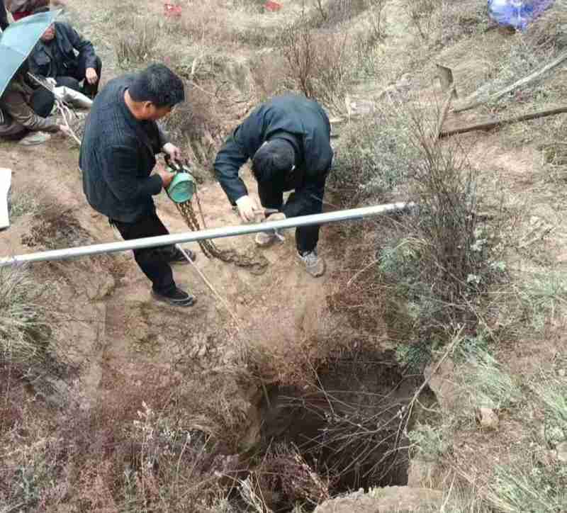 【技术解构】黄土高原牧牛事故:深坑救援为何陷入死局? 新闻