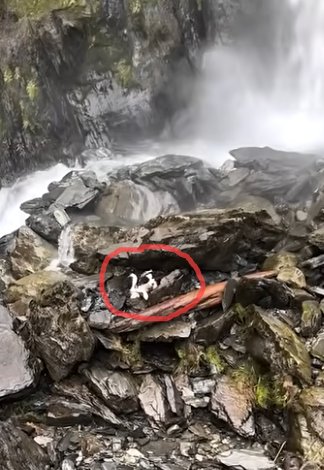 【技术解构】黄土高原牧牛事故:深坑救援为何陷入死局? 新闻