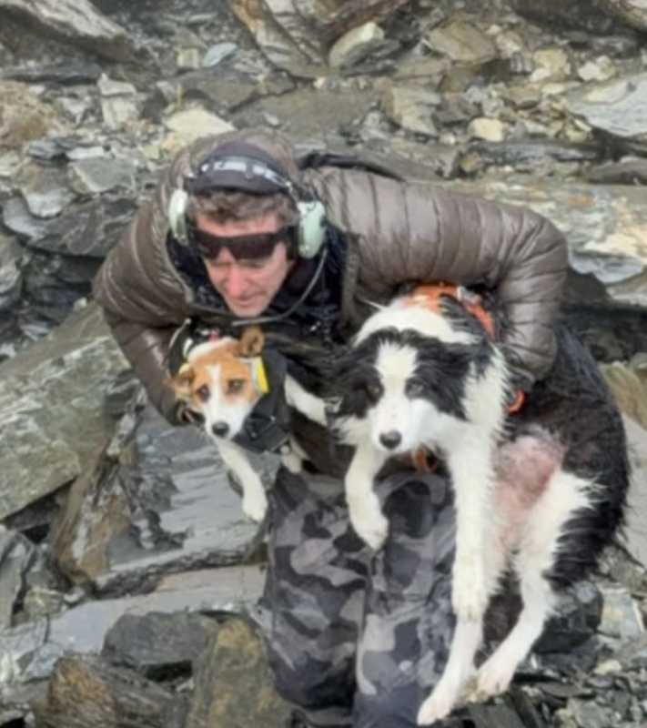 【技术解构】黄土高原牧牛事故:深坑救援为何陷入死局? 新闻