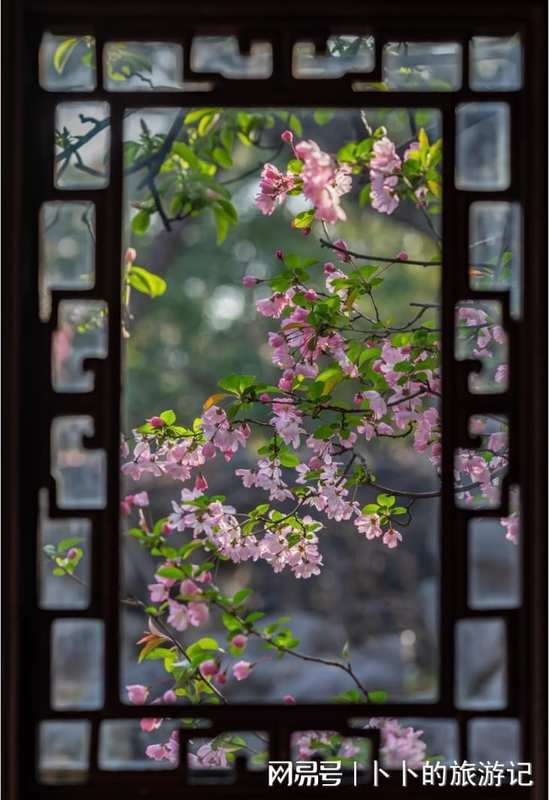  【技术流】苏州春季秘境探访：3处零游客打卡点的精准到达方案 文化旅游