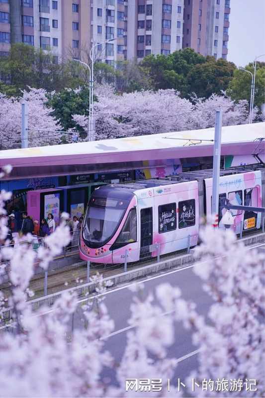  【技术流】苏州春季秘境探访：3处零游客打卡点的精准到达方案 文化旅游