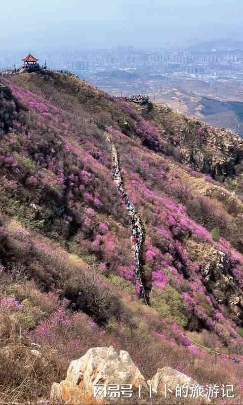  【技术流】苏州春季秘境探访：3处零游客打卡点的精准到达方案 文化旅游