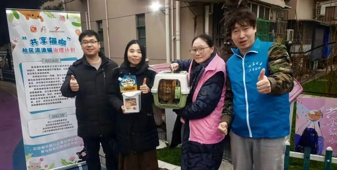  技术赋能基层治理：杨浦“三所联动”机制的深层逻辑与实践价值 新闻