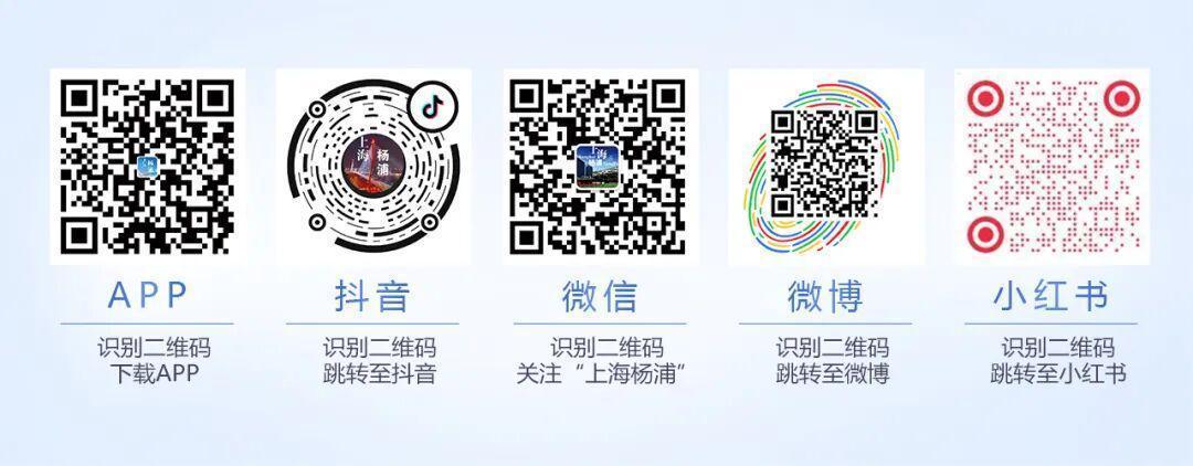  技术赋能基层治理：杨浦“三所联动”机制的深层逻辑与实践价值 新闻