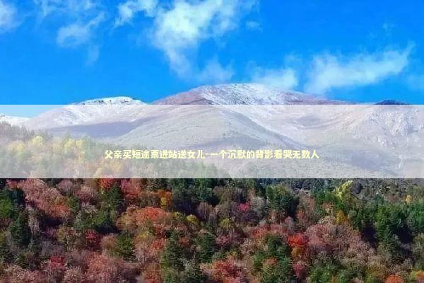 父亲买短途票进站送女儿-一个沉默的背影看哭无数人