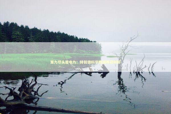 算力尽头是电力：特锐德科华数据等迎利好