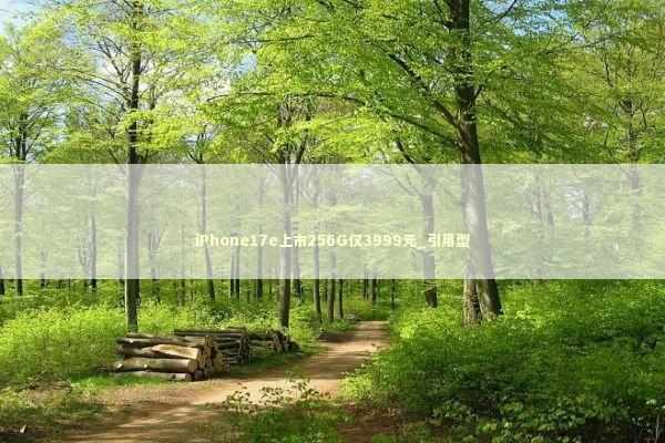 iPhone17e上市256G仅3999元_引用型