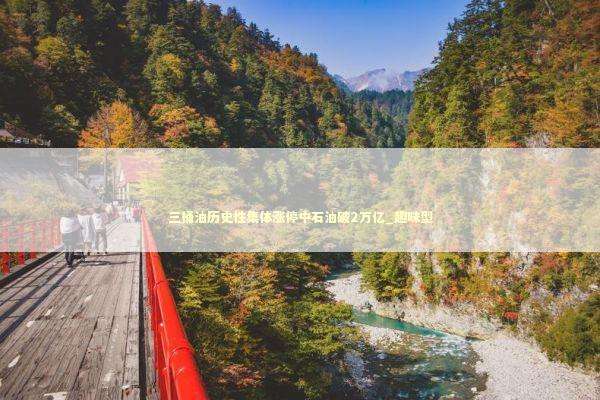 三桶油历史性集体涨停中石油破2万亿_趣味型