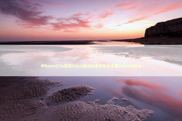 iPhone17e发布256G储存起步不加价还是60Hz大刘海