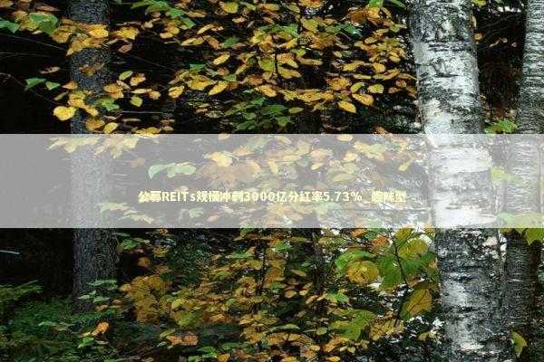公募REITs规模冲刺3000亿分红率5.73%_趣味型