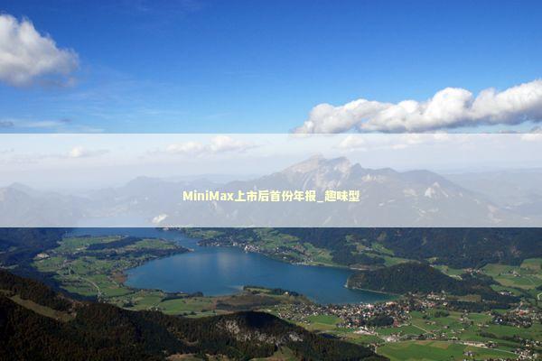 MiniMax上市后首份年报_趣味型