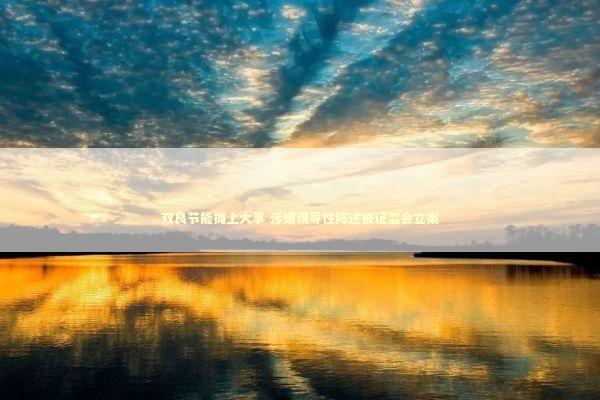 双良节能摊上大事 涉嫌误导性陈述被证监会立案