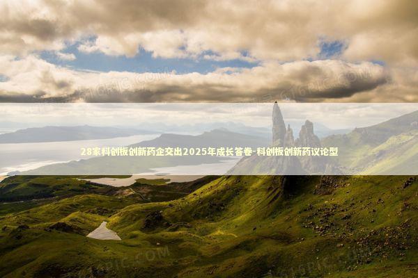 28家科创板创新药企交出2025年成长答卷-科创板创新药议论型