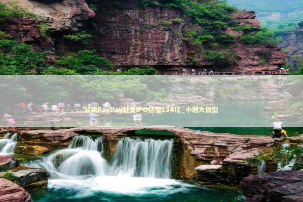 软银PayPay赴美IPO估值134亿_小题大做型
