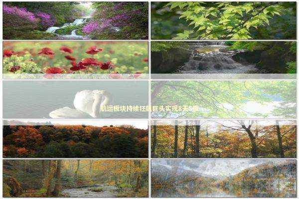 航运板块持续狂飙巨头实现8天5板