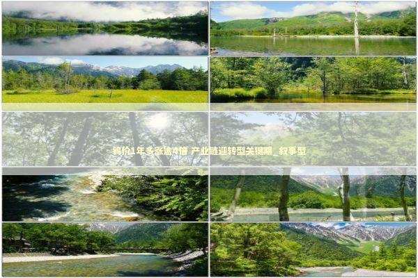 钨价1年多涨逾4倍 产业链迎转型关键期_叙事型