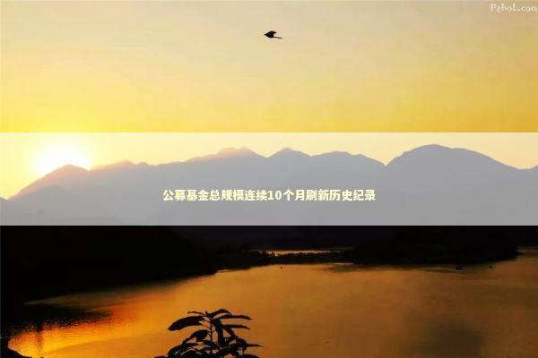 公募基金总规模连续10个月刷新历史纪录