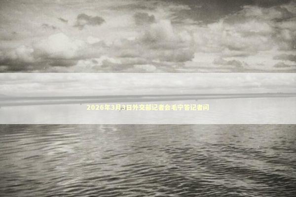 2026年3月3日外交部记者会毛宁答记者问