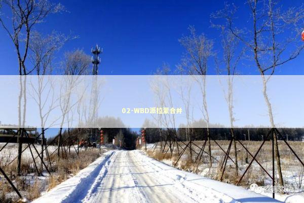 02-WBD派拉蒙合并
