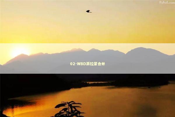 02-WBD派拉蒙合并