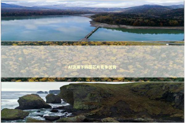 AI浪潮下韩国芯片竞争优势