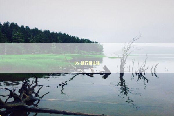 05-银行股走强