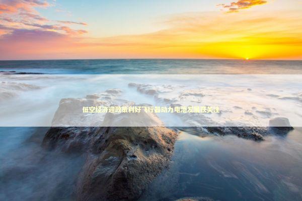 低空经济迎政策利好飞行器动力电池发展获关注