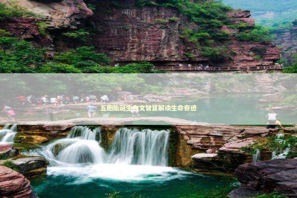 五胞胎诞生古文智慧解读生命奇迹