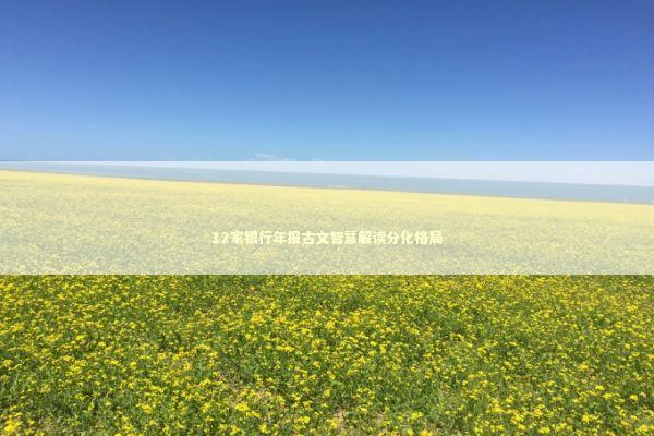 12家银行年报古文智慧解读分化格局