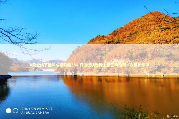 A股全线下挫深成指跌超3% 石油板块逆势上扬三桶油第二次集体涨停
