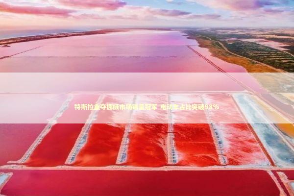 特斯拉重夺挪威市场销量冠军 电动车占比突破98%