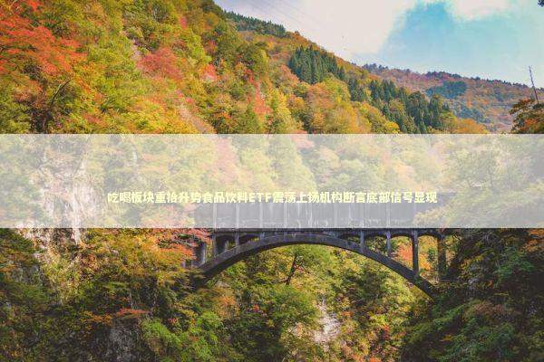 吃喝板块重拾升势食品饮料ETF震荡上扬机构断言底部信号显现