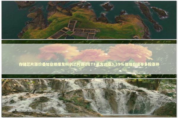 存储芯片涨价叠加业绩爆发科创芯片设计ETF易方达涨3.39%佰维存储等多股涨停