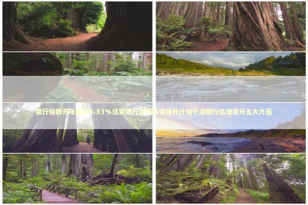 银行指数开年回调6.33%这家银行发布估值提升计划宁波银行估值提升五大方面