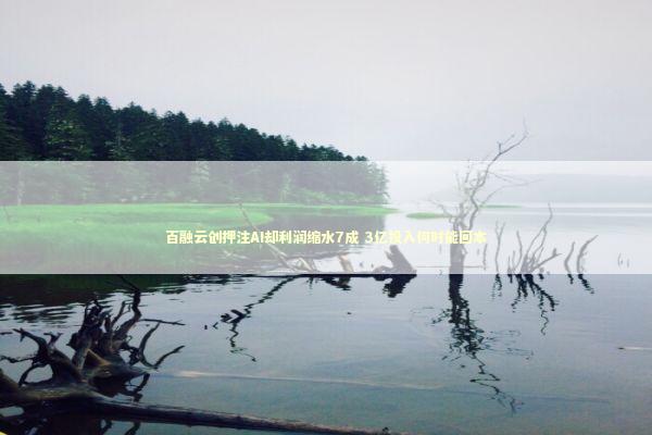 百融云创押注AI却利润缩水7成 3亿投入何时能回本 新闻