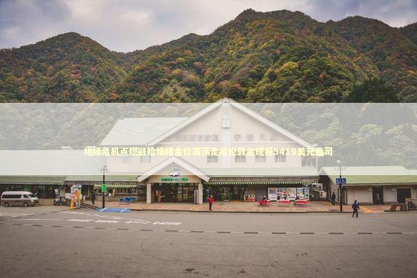 地缘危机点燃避险情绪金价震荡走高伦敦金现报5419美元盎司