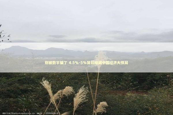 别被数字骗了 4.5%-5%背后暗藏中国经济大棋局