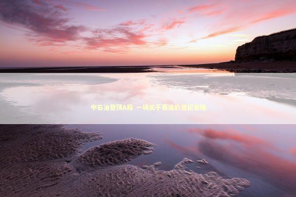 中石油登顶A股 一场关于赛道的世纪豪赌